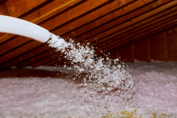 Best Soundproof Insulation Installation  in Quanah, TX