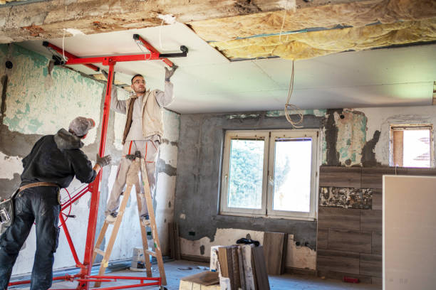 Best Best Insulation Companies  in Quanah, TX